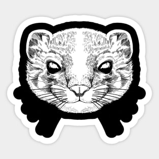 Drawing of a ferret Sticker